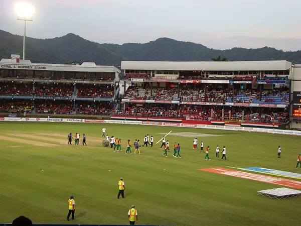 face of fans interacting with cricket