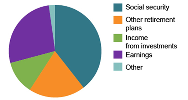 pie chart here shows the demographic of capital generation