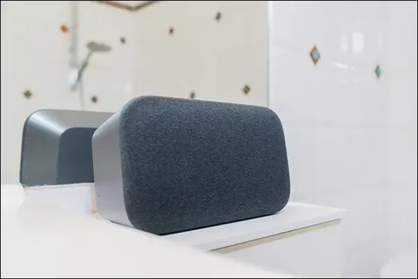 Google Home Maxs