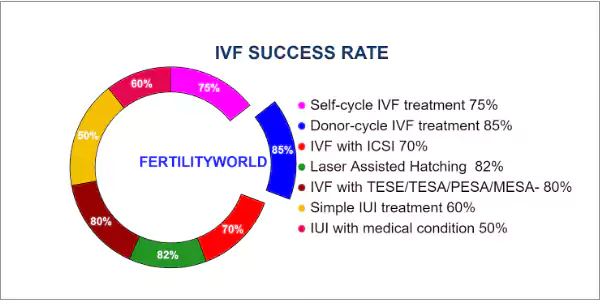 IVF Success Rate