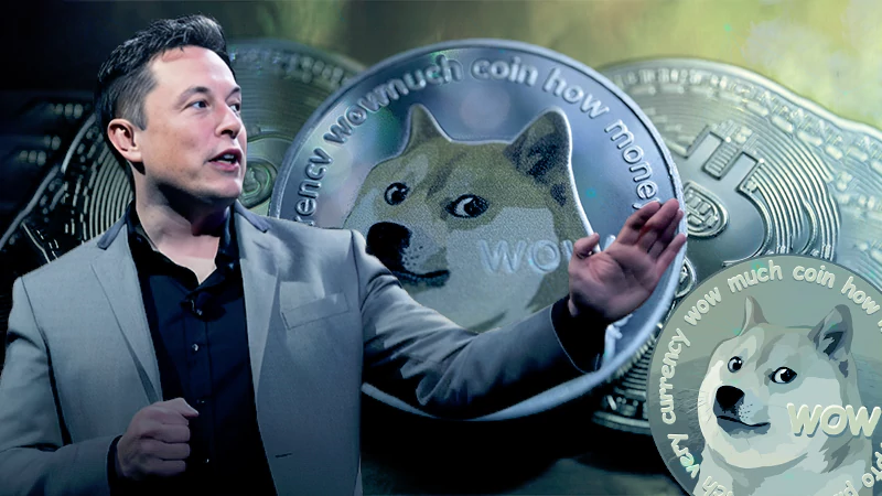 the dogecoin hype