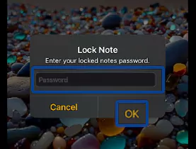 Enter Password and click OK