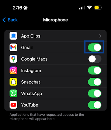 Enable the Microphone for Apps