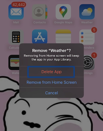 Hit the Delete App option