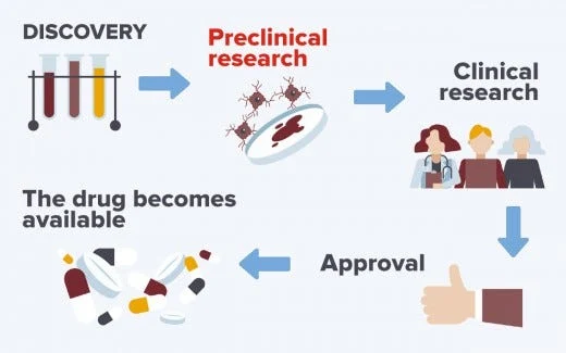 The Role of Biotechnology in Drug Discovery and Development