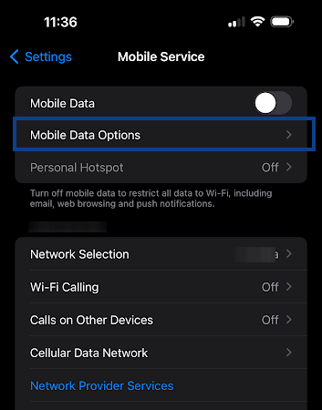Visit Mobile Service then Mobile Data Option