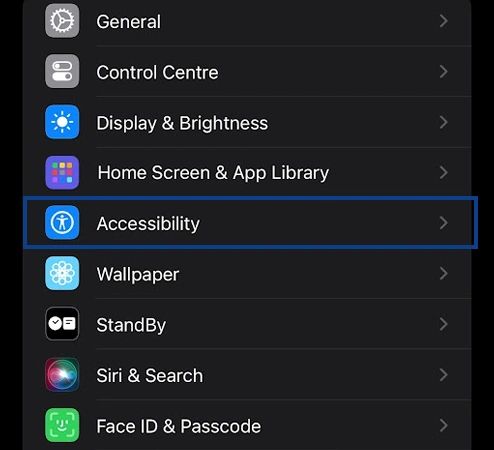 Accessibility option in the settings of iPhones