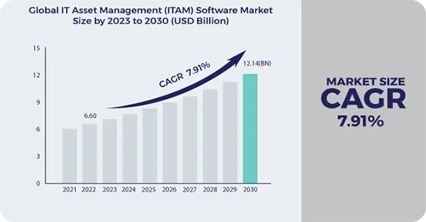 Global IT asset management software market 
