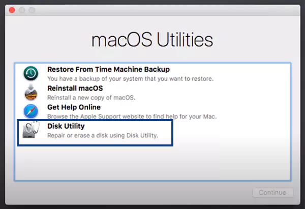 Select Disk Utility then Continue