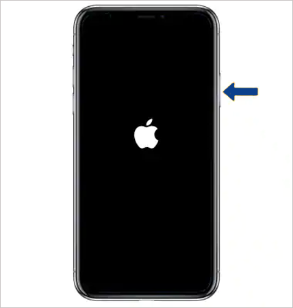 Wait till the Apple logo appears on the screen