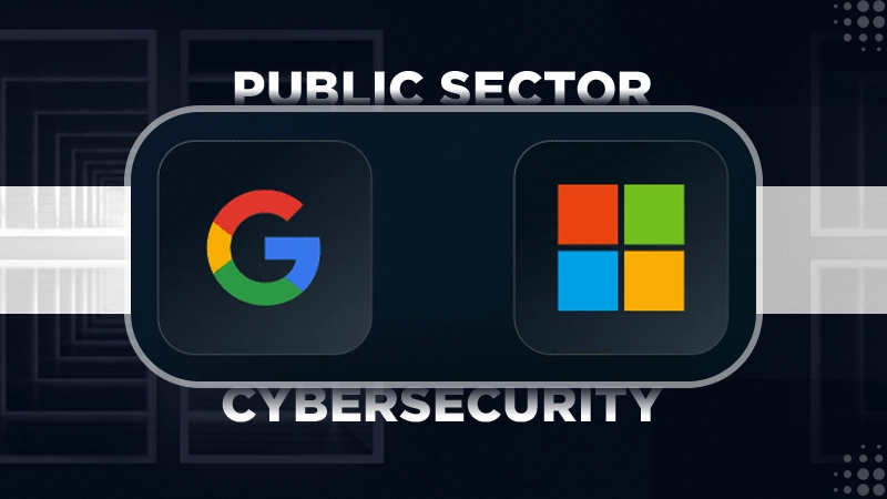google public sector