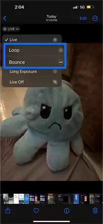 Choose Loop and Bounce for the animated effects
