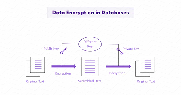 Data encryption & storage