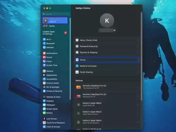 Select Apple ID then iCloud