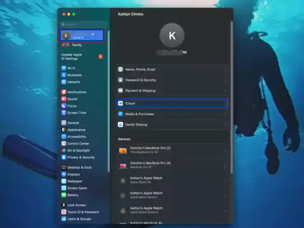 Select Apple ID then iCloudc