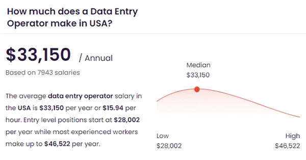 Data Entry Operator in USA