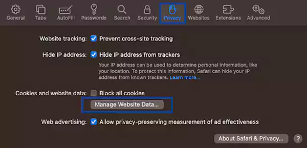 Tap on Privacy and click on Manage Website Data