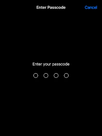 Enter iPhone Passcodes