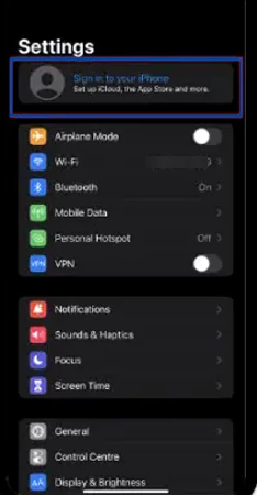Open Settings then Tap on Sign in to your iPhone