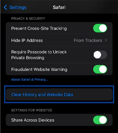 Tap on Clear History and Website Data opt