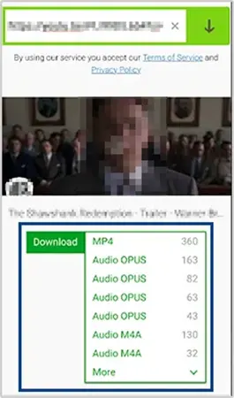 Select download quality