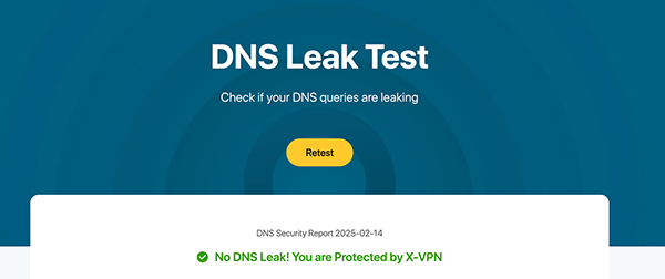 DNS leak test