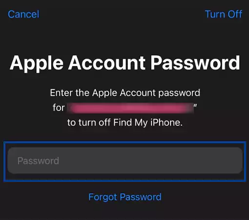 Enter your Apple Account password