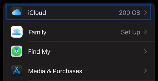 Select the iCloud option