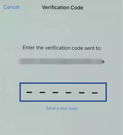 enter the verification codes