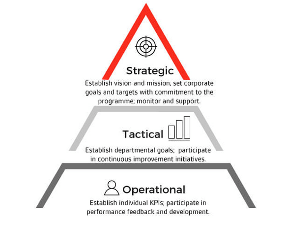 the extensive pyramid of Q&A programs