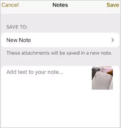 Select Notes and save it in PDF format