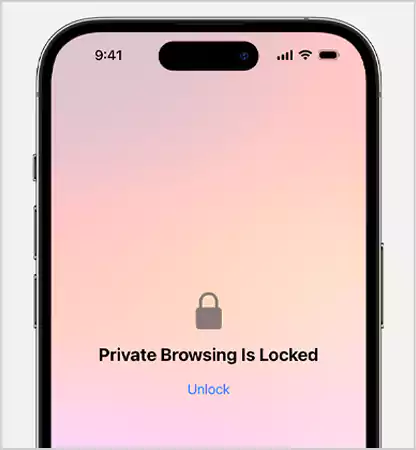 How To Turn Off Private Browsing on iPhone