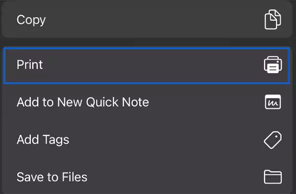 Select the Print option