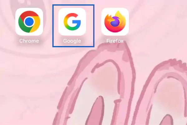 Click on the Google Application