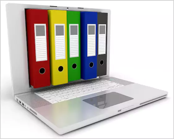Online File Organization with DMS
