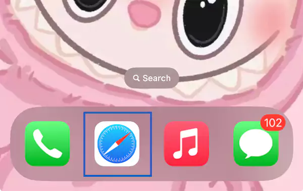 Open Safari on your device