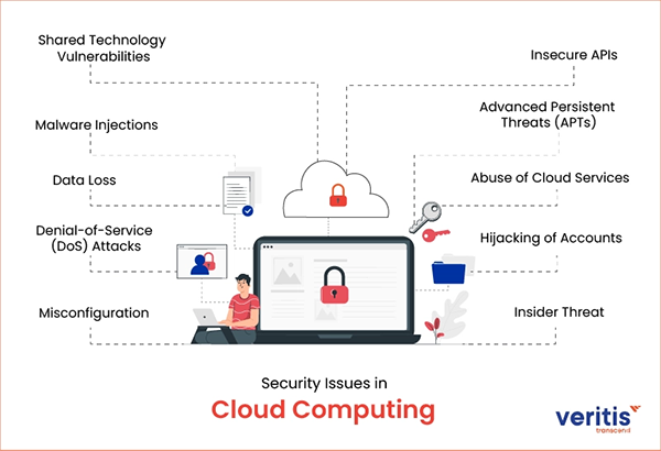 security issues in cloud computing