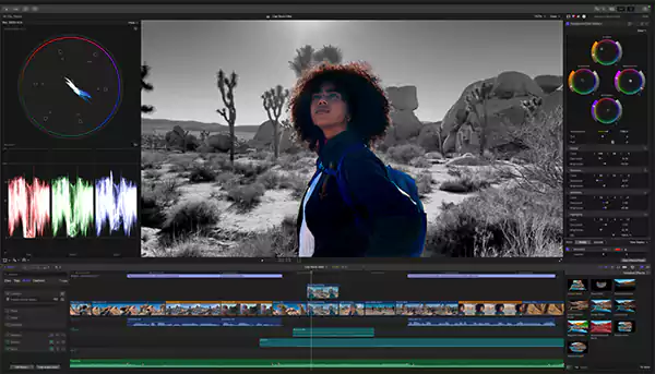 Final Cut Pro Interface