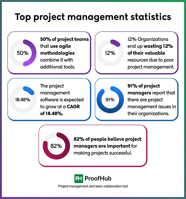 Project management insights 