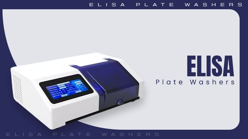 elisa