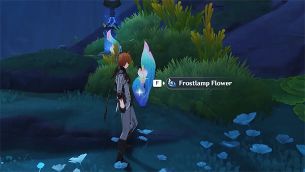 Frostlamp Flower Locations
