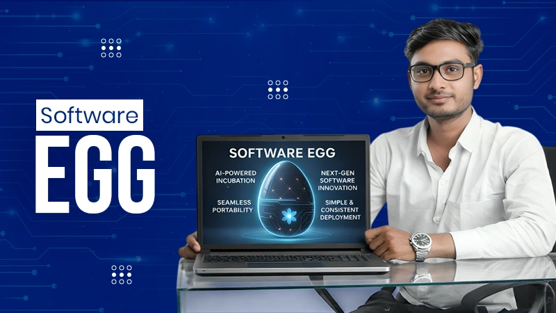 software egg