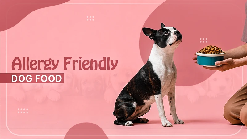 Dog Food for Allergies That Cause Skin Itching and Digestive Issues