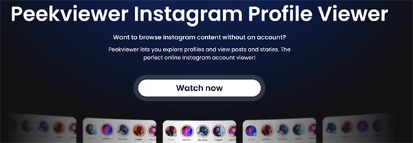 Instagram Profiles