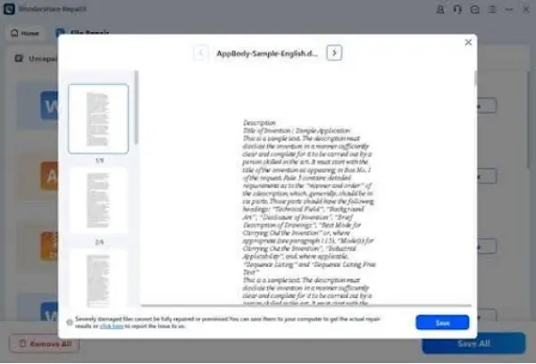 Start Repair and Preview the Result-2