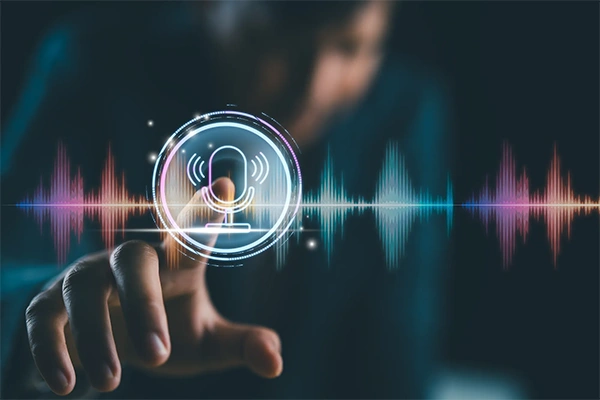 Voice input