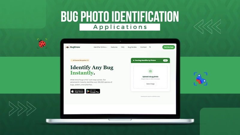 bug photo identification