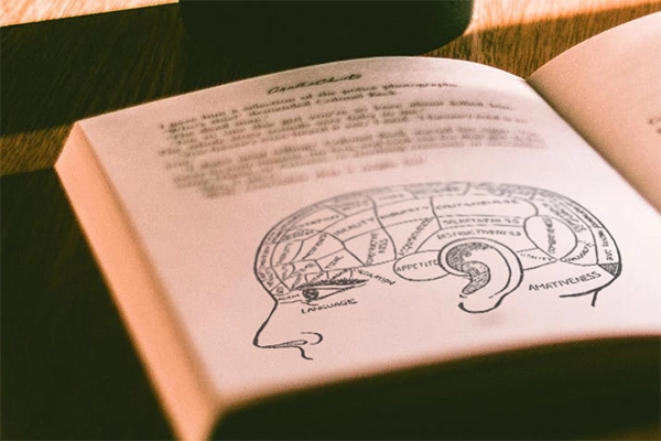 Brain psychology