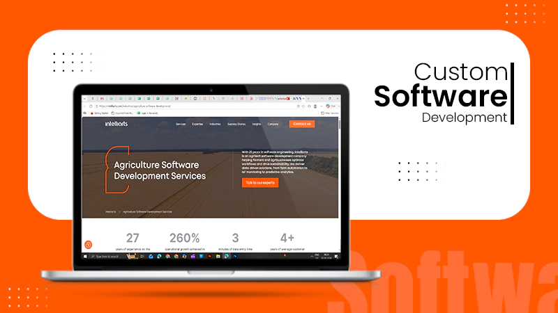 Custom Software Development