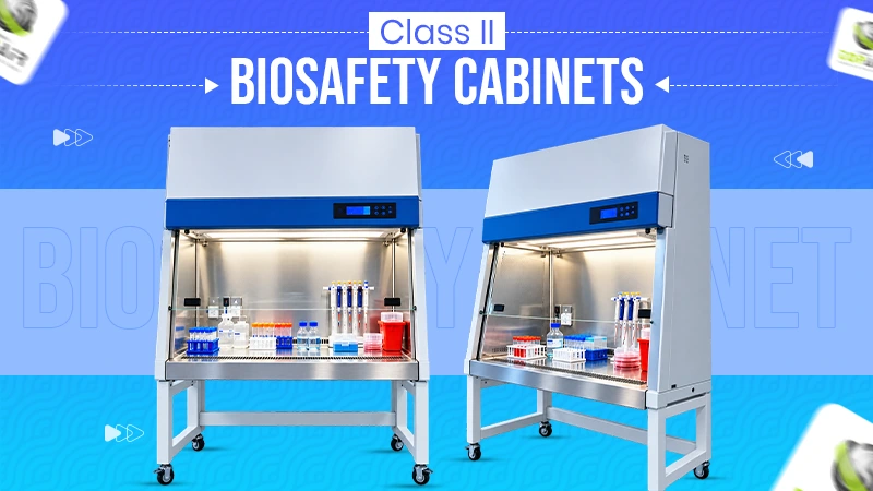 Choosing a Class II Biosafety Cabinet: What the Airflow Actually Protects